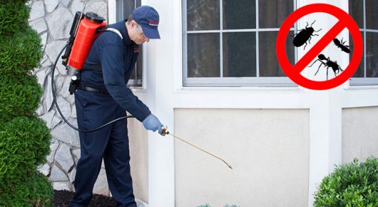 Çal Kemirgen İlaçlama böcek ilaçlama ve haşere kontrolü — ilaclama-tr.com